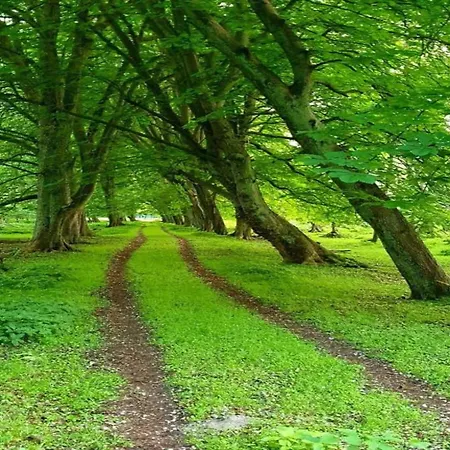 Apartman Ferienwohnung, *