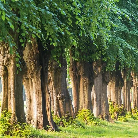 Apartman Ferienwohnung,