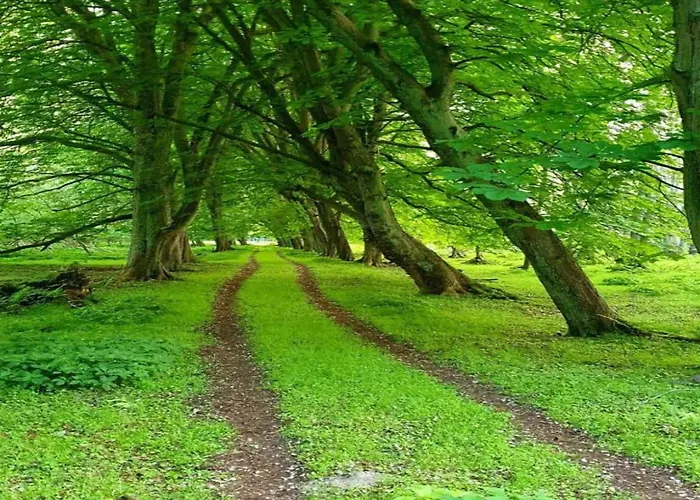 Apartment Ferienwohnung, *