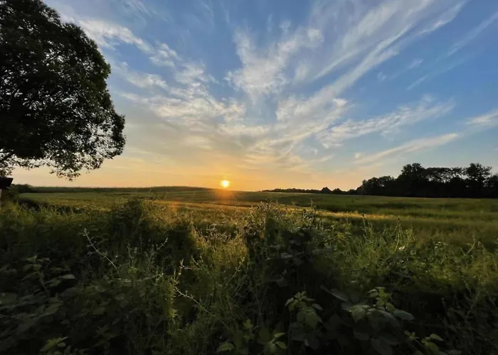 Ferienwohnung, Apartment