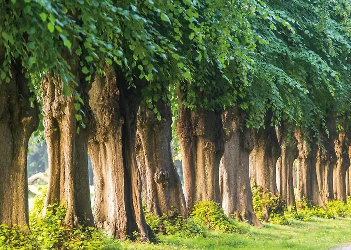 Apartment Ferienwohnung,